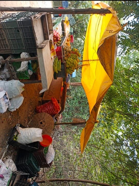 Thamizhkudiyarasarsethu