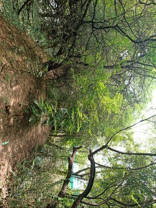 Thamizhkudiyarasarsethu